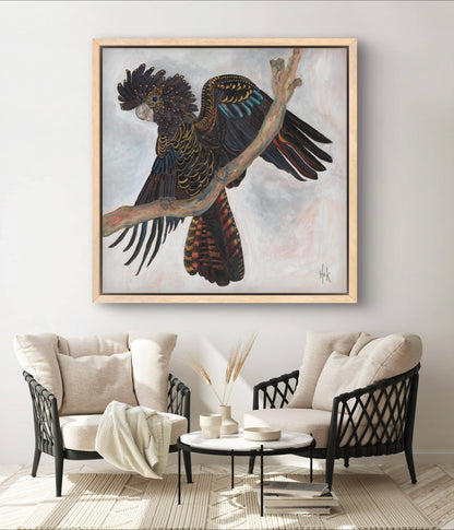 'Harlow' Red-tailed Black Cockatoo Fine Art Print