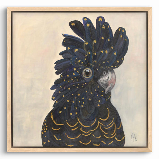 'Wallace' Black Cockatoo Stretched Canvas Print