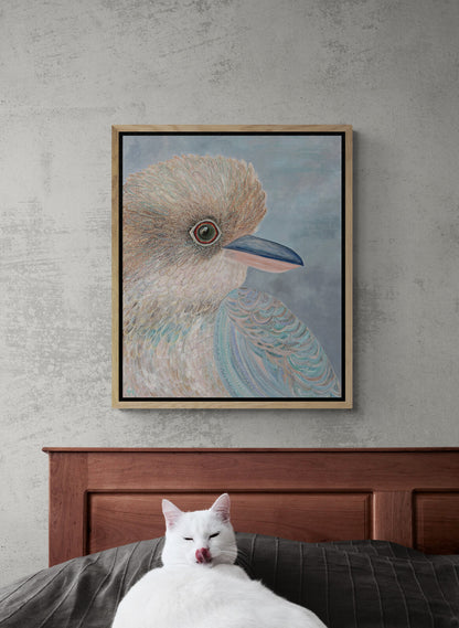 'Arlo' Kookaburra Stretched Canvas Print