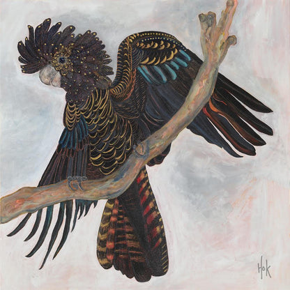 'Harlow' Red-tailed Black Cockatoo Fine Art Print